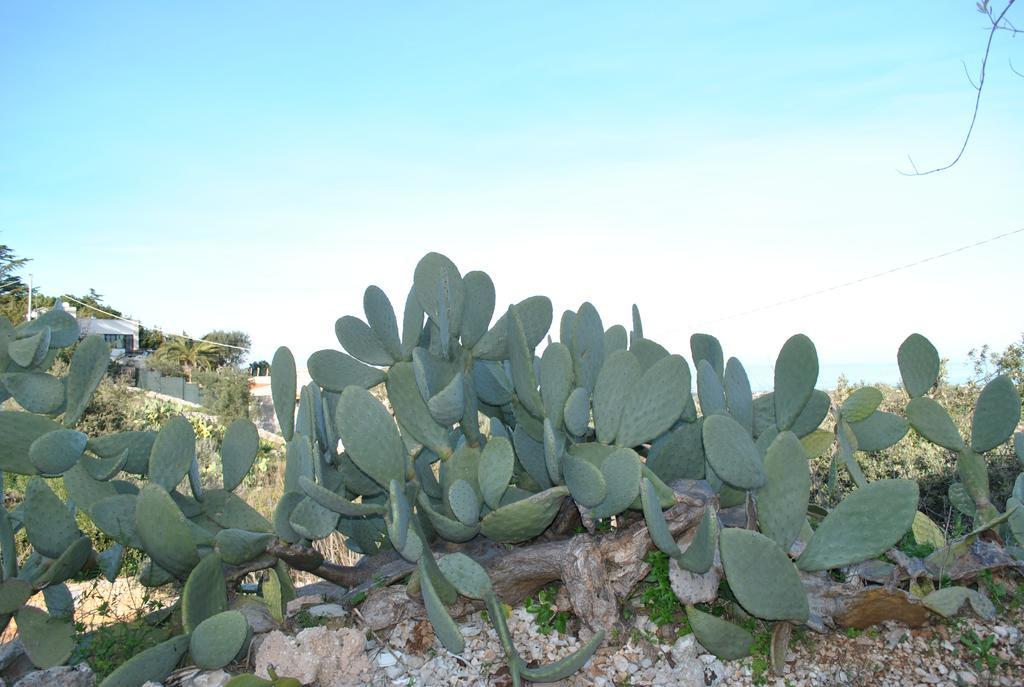 Le Dimore Del Sarto Polignano A Mare Εξωτερικό φωτογραφία