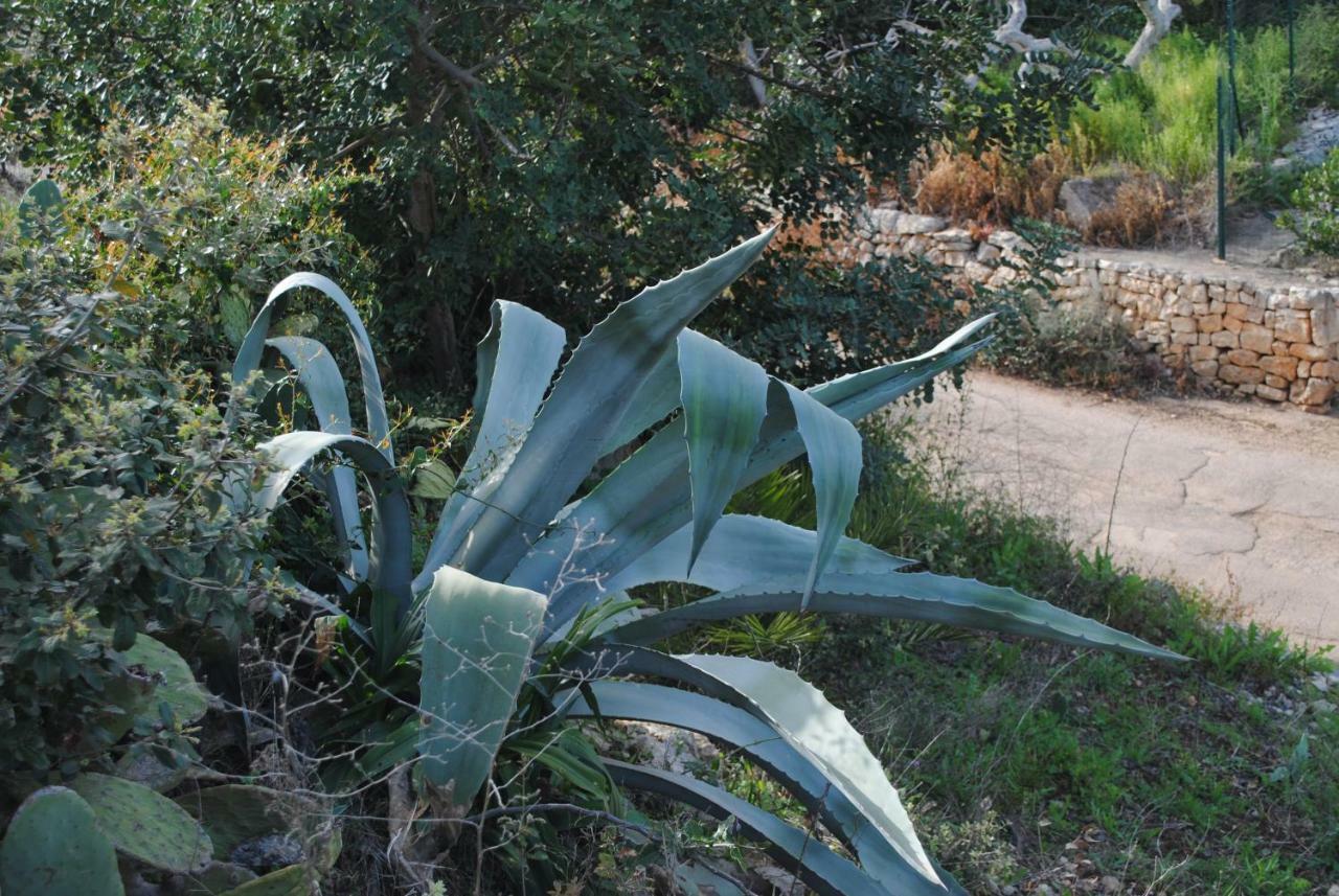 Le Dimore Del Sarto Polignano A Mare Εξωτερικό φωτογραφία