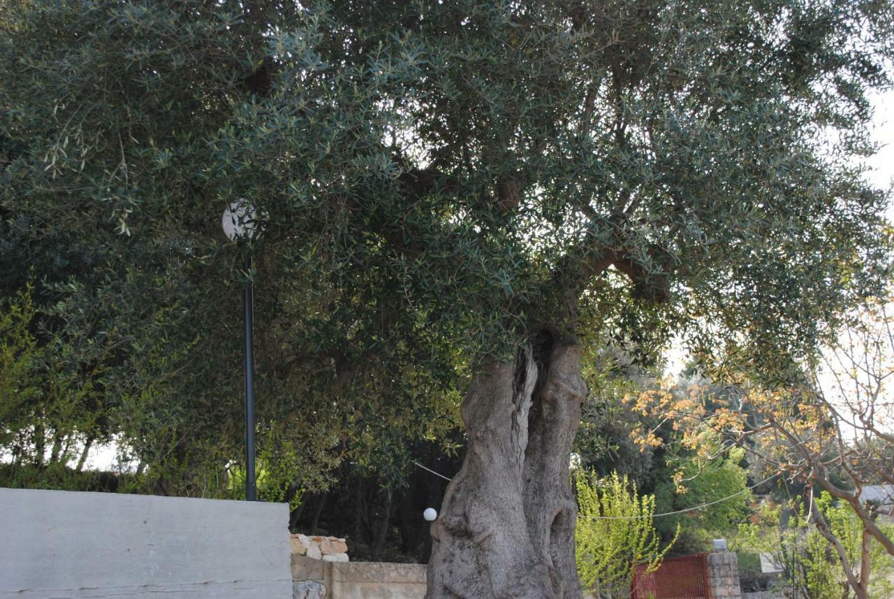 Le Dimore Del Sarto Polignano A Mare Εξωτερικό φωτογραφία