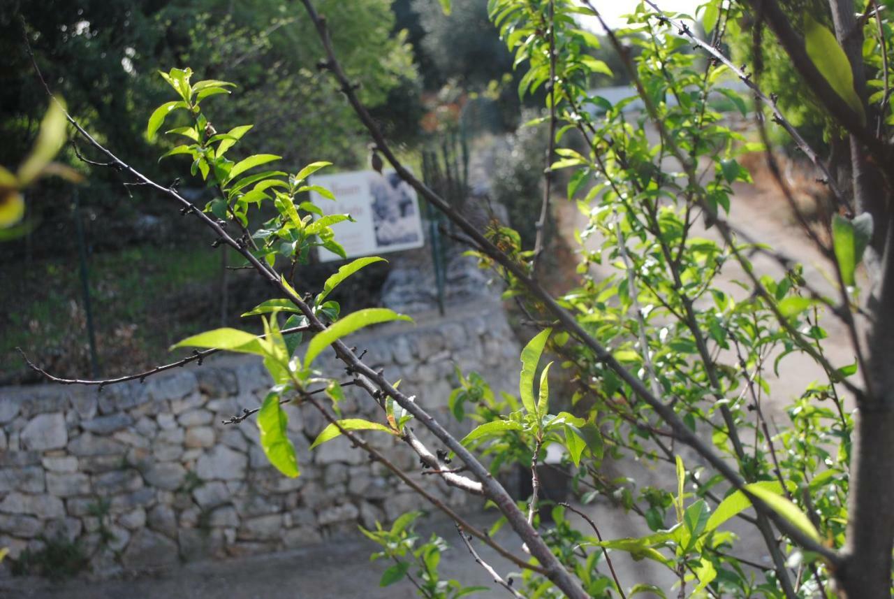 Le Dimore Del Sarto Polignano A Mare Εξωτερικό φωτογραφία