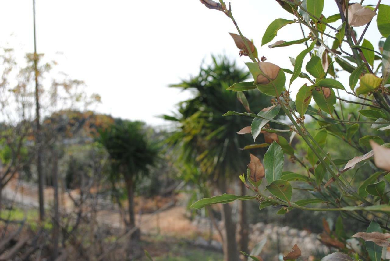 Le Dimore Del Sarto Polignano A Mare Εξωτερικό φωτογραφία